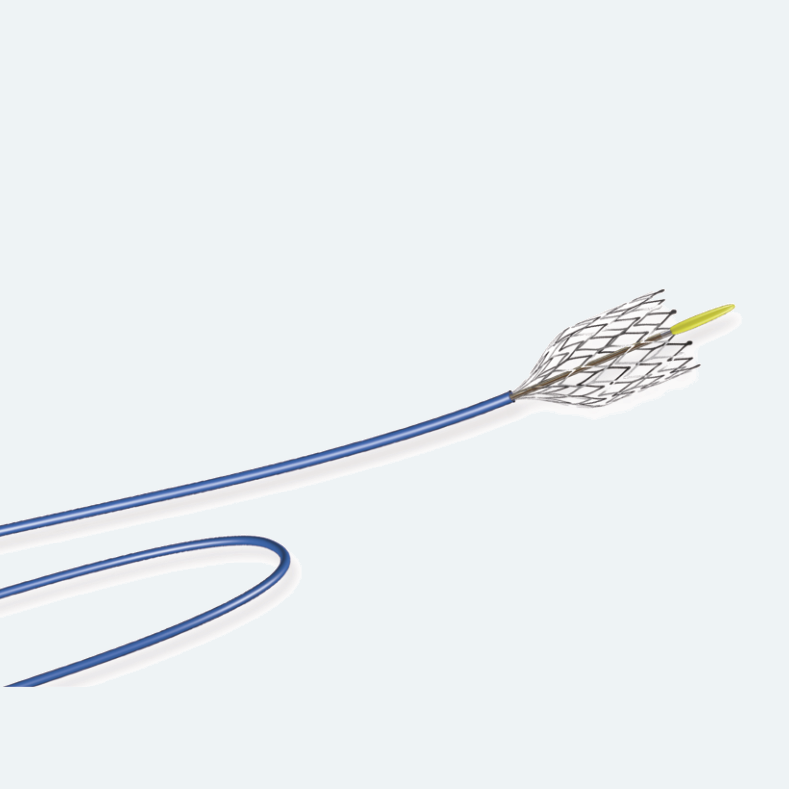 Implant Delivery Catheter